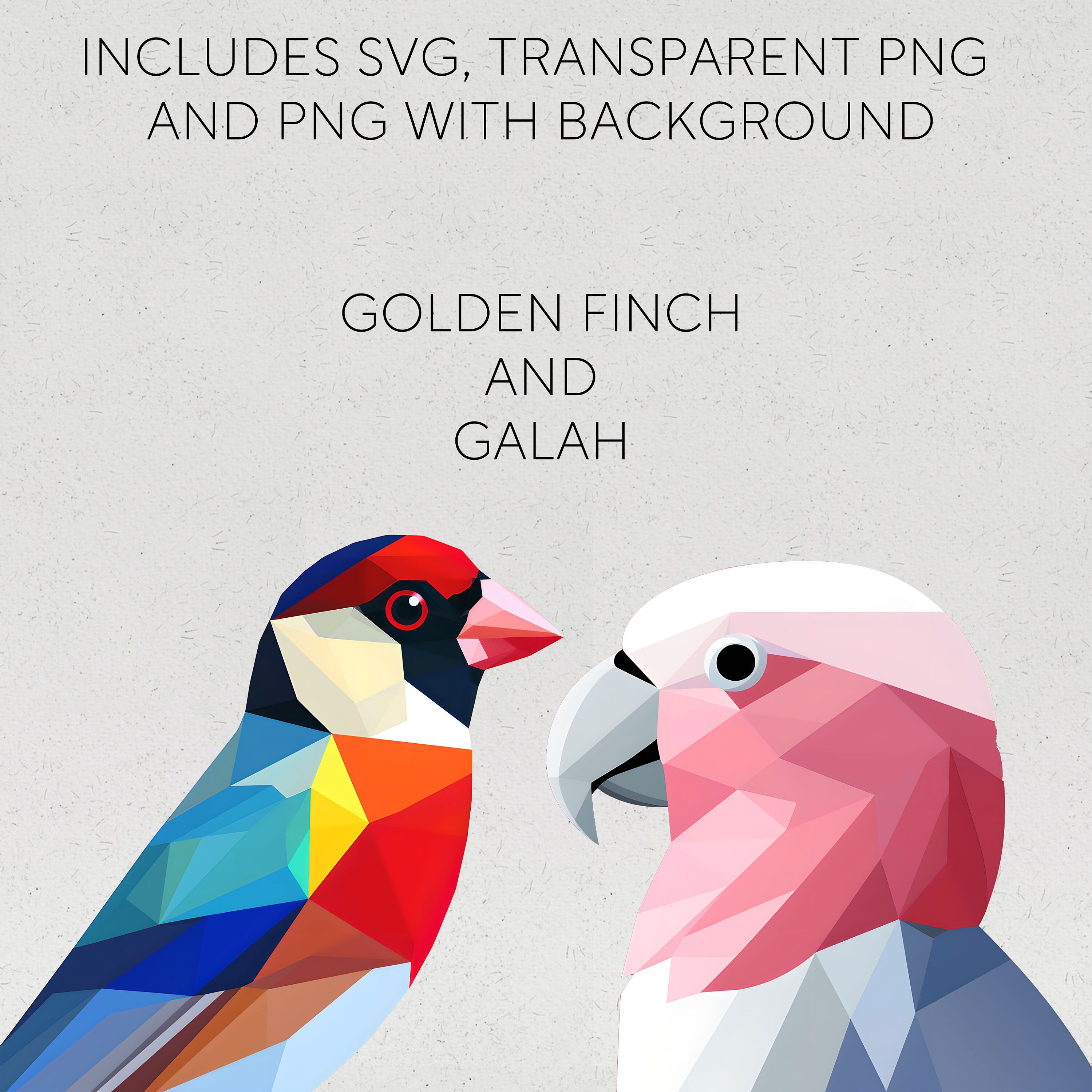 Australian Native Bird SVG Aussie Native Birds PNG Australian Birds