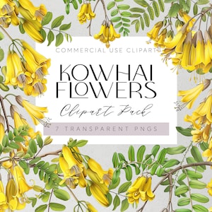 Flores nativas de Nueva Zelanda Clipart Kowhai Flores PNG transparentes Kiwi Flora Clipart Acuarela Floral Flores de boda tropicales