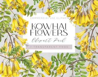 Neuseeland Native Blumen Clipart Kowhai Blumen Transparente PNGs Kiwi Flora Clipart Aquarell Floral Tropische Hochzeitsblumen