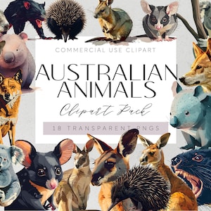 Australische Ureinwohner Tiere Clipart Aussie Känguru Illustrationen Aquarell australischer Koala Art Aussie Wombat Scrapbooking Art