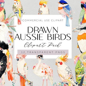 Clipart floral d'oiseaux indigènes d'Australie Illustrations d'oiseaux indigènes d'Australie aquarelle oiseaux australiens Art oiseau d'Australie Scrapbooking Kookaburr