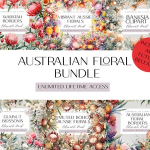 Australische bloemen clipart bundel levenslange winkeltoegang Banksia illustratie lelbloemen eucalyptusbloesems Aussie bloemenranden
