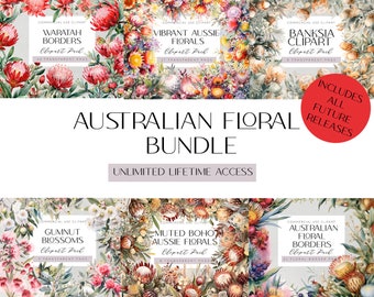 Australian Floral Clipart Bundle Lifetime Shop Access Banksia Illustration Wattle Flowers Eucalyptus Blossoms Aussie Floral Borders
