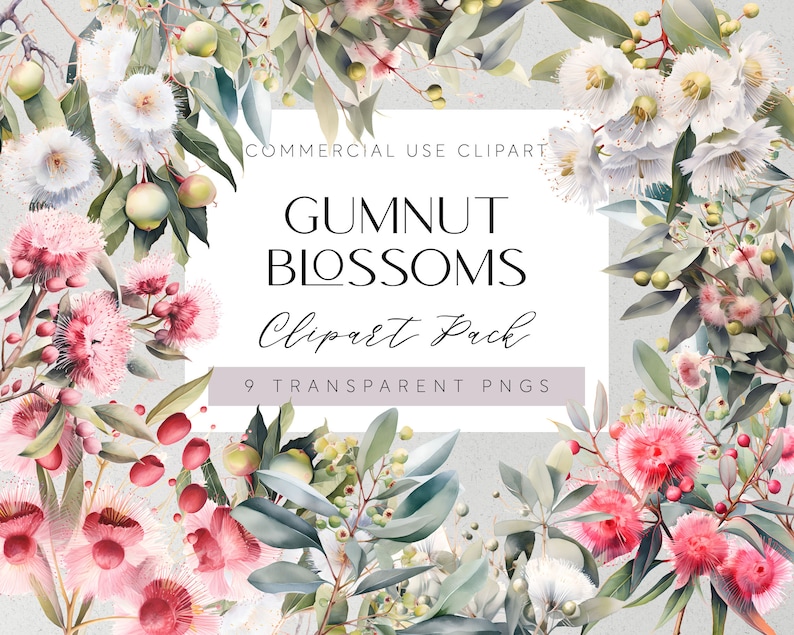 May include: A digital clipart pack featuring 9 transparent PNG images of watercolor-style gum nut blossoms in shades of pink and white. The text "Gumnut Blossoms Clipart Pack 9 Transparent PNGs" is displayed on a white background.