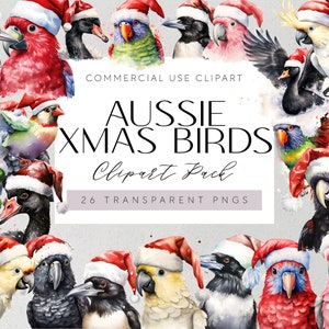 Clipart Noël d'oiseaux indigènes d'Australie Illustrations d'oiseaux indigènes d'Australie de Noël aquarelle oiseaux australiens Art oiseau d'Australie