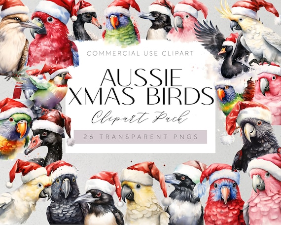 Christmas Australian Native Birds Clipart Xmass Aussie Native Birds Illustrations Watercolour Australian Birds Art Aussie Bird