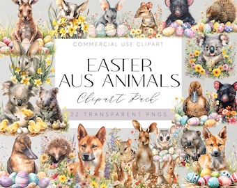 Puede incluir: Un paquete de clipart digital con 22 animales australianos con temática de Pascua, incluyendo un koala, un canguro, un wombat, un equidna y más. Los animales están representados en un estilo acuarela y están rodeados de coloridos huevos de Pascua y flores. El texto "Easter Aus Animals Clipart Pack 22 Transparent PNGs" se muestra en un fondo morado.
