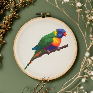 Puede incluir: Una colorida bordado de punto de cruz de un loro arcoíris posado en una rama. El pájaro está representado en tonos de verde, azul, naranja, amarillo y rojo.