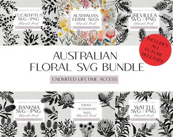 Australian Floral SVG Clipart Bundle Lifetime Shop Access Banksia Illustration Wattle Flowers Eucalyptus Blossoms Aussie Floral Borders
