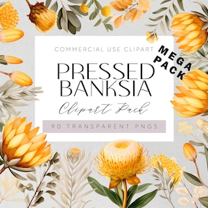 Fleurs indigènes australiennes Clipart Banksia Fleurs Transparent PNGs Aussie Flora Clipart Aquarelle Floral Tropical Mariage Fleurs MEGA PACK