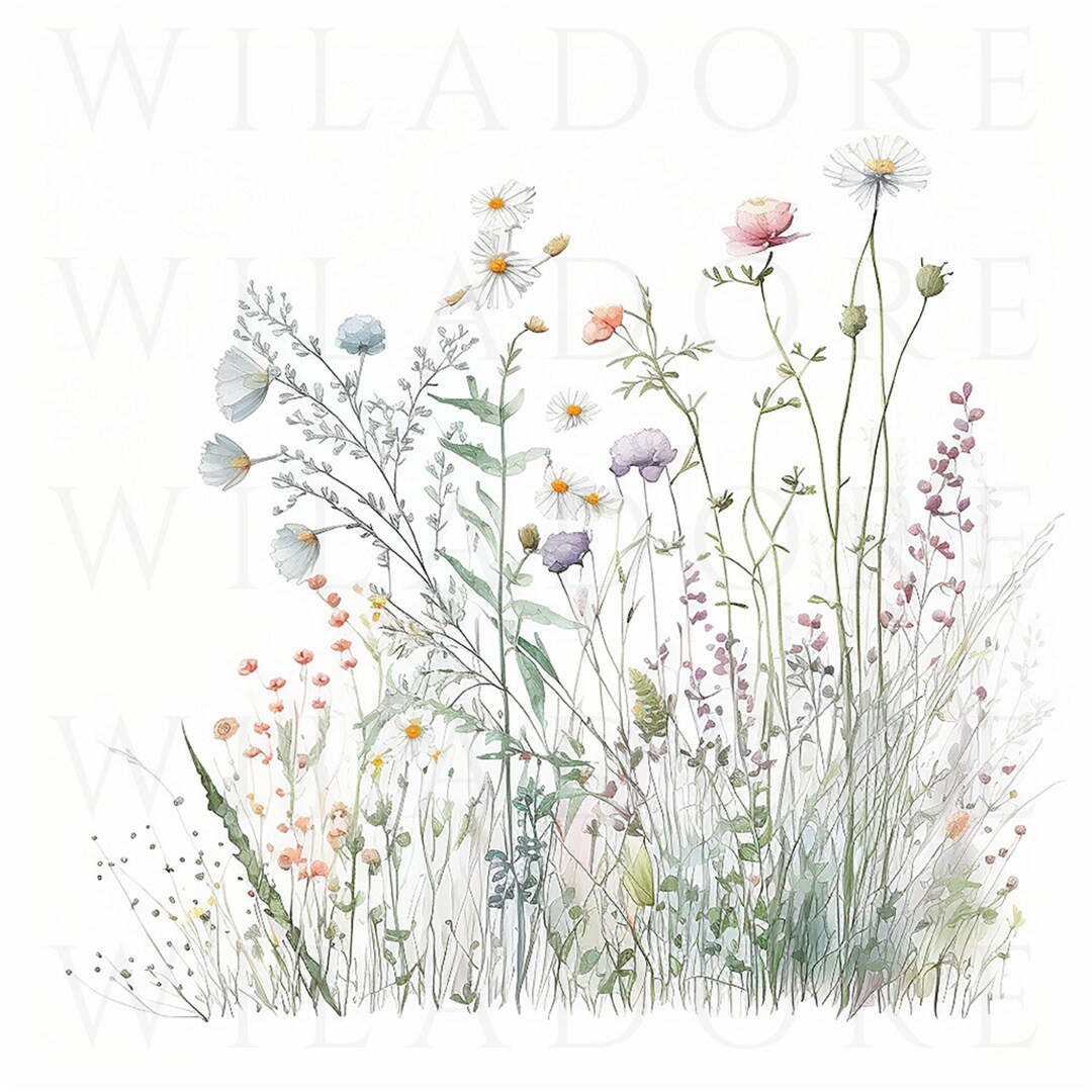 Watercolor Wildflowers Flowers Borders, Meadow, 10 PNG Floral Images