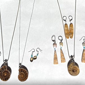 Ammonite Pendant necklaces, Fossil Coral and Smoky Quartz earrings