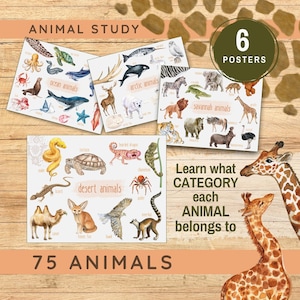 Tierklassifikationsplakate druckbare Kinderbildungs-Klassenzimmer-Wand-Kunst-Dekor-Homeschool Montessori-Ressourcen kategorisieren Tierlebensräume