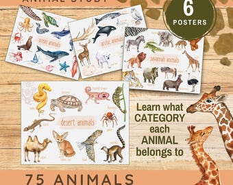 Animal Classification Posters, Printable Kids Educational Classroom Wall Décor, Homeschool Montessori Resources, Categorize Animal Habitats