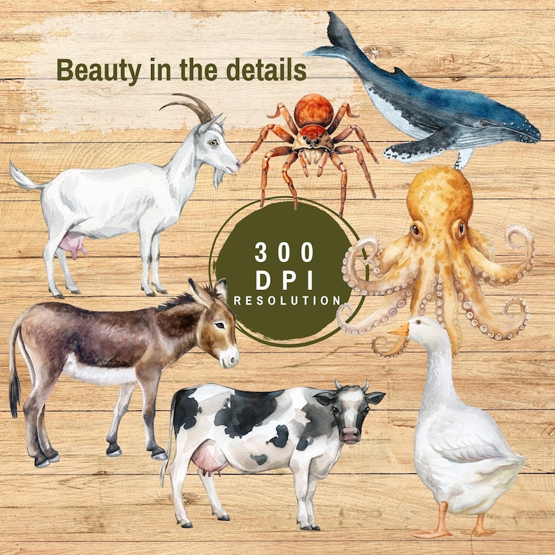 Animal Classification Posters Printable Kids Educational Classroom Wall ...