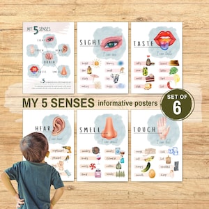 Fünf Sinne Poster Lernwandkunst Hören / Fühlen / Sehen / Riechen / Geschmack Montessori Kinder Kleinkind Vorschule Lehrer Lernressourcen