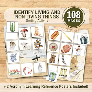 Identify Living & Non-Living Things Sorting Activity, Picture Science Sort Cards with Acronym Learning Reference Poster Educational Download
