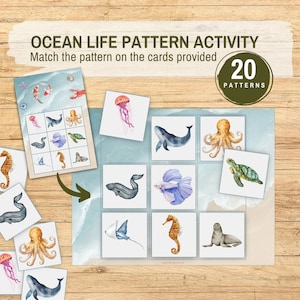 Attività di ordinamento di modelli di vita oceanica con immagini Montessori, risorse per l'asilo nido, gioco di abbinamento di animali stampabile per bambini in età prescolare
