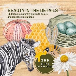 Puede incluir: Ilustraci&oacute;n en acuarela con una cebra, abeja, panal, erizo de mar, margarita y nido de p&aacute;jaro con huevos. Incluye el texto "BEAUTY IN THE DETAILS" y "300 DPI RESOLUTION". El fondo es de madera.