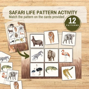 Atividade de classificação de cartões com figuras de padrões de vida no Safari, jogo de correspondência de animais para impressão com cópia da sequência, recursos Montessori para crianças em idade pré-escolar