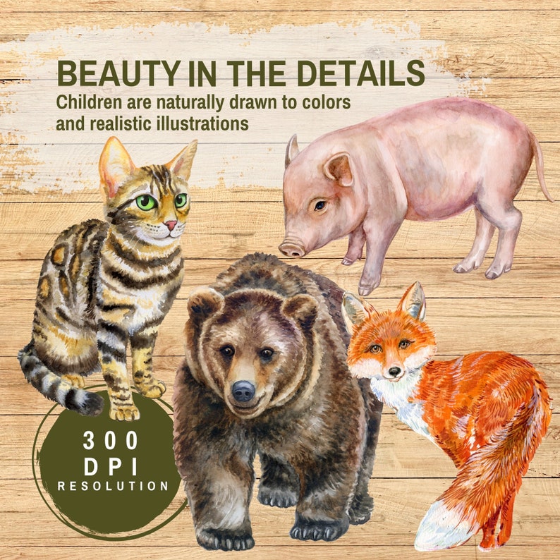 Peut inclure: Illustration aquarelle d'un ours brun, d'un renard roux, d'un chat tigr&eacute; et d'un cochon rose. Les animaux sont tous tourn&eacute;s vers l'avant et sont plac&eacute;s sur un fond en bois. Le texte "BEAUTY IN THE DETAILS" est en haut de l'image. Le texte "Les enfants sont naturellement attir&eacute;s par les couleurs et les illustrations r&eacute;alistes" est sous le titre. Le texte "300 DPI RESOLUTION" est en bas de l'image.
