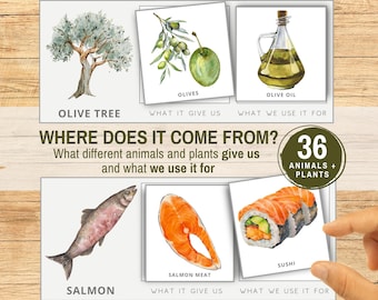 Where Does It Come From? Food Origin Sorting Activity, What Animals & Plants Give Us and What We Use It For, Printable Farm To Table Game