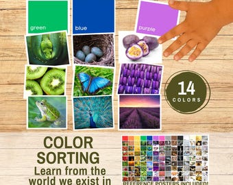 Montessori Color Sorting Matching Game, 14-Color Recognition Printable, Toddler Learning Activity, Preschool Educational Download