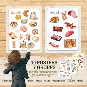 Plakaty z grupami żywności, drukowane edukacyjne wykresy do nauki w klasie dla przedszkolaków Montessori Homeschool, identyfikacja i kategoryzacja zdjęć żywności