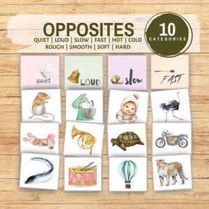 Schede didattiche stampabili per l'ordinamento degli opposti, gioco per lo sviluppo del bambino, categorizzazione degli oggetti in base alle caratteristiche contrastanti, risorse per la scuola materna