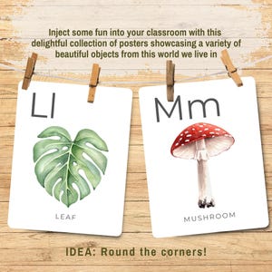 Puede incluir: Dos carteles educativos colgados con pinzas de madera. Uno muestra una hoja verde con la letra "LI" y la palabra "LEAF". El otro muestra una seta roja y blanca con la letra "Mm" y la palabra "MUSHROOM".