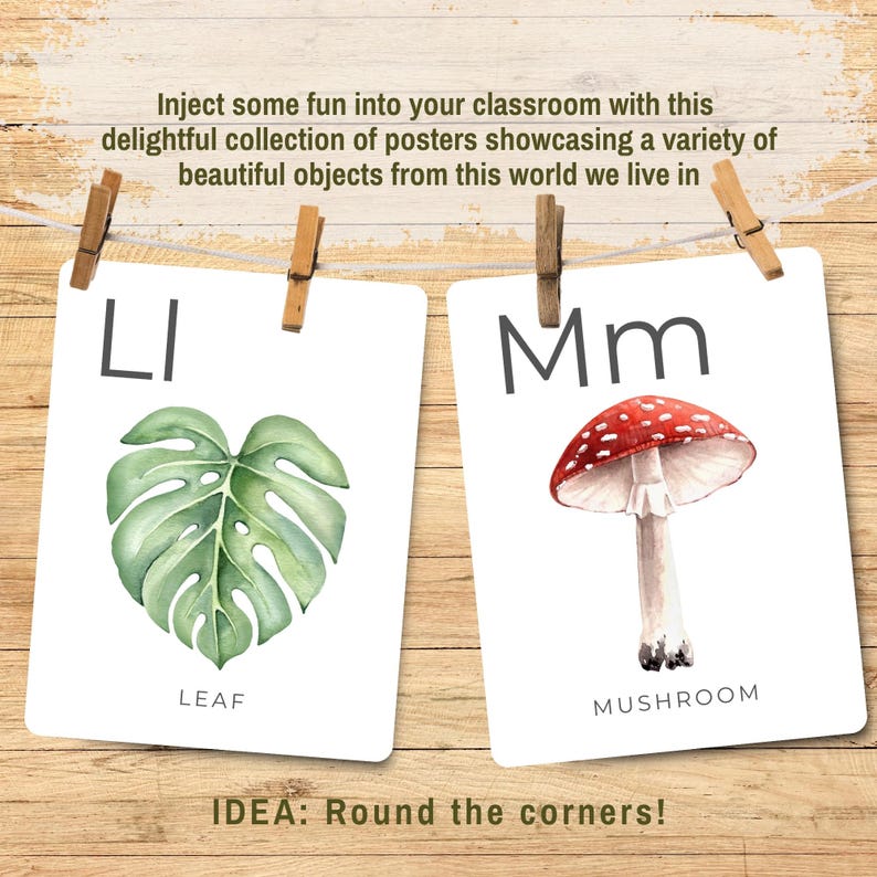 Puede incluir: Dos carteles educativos colgados con pinzas de madera. Uno muestra una hoja verde con la letra "LI" y la palabra "LEAF". El otro muestra una seta roja y blanca con la letra "Mm" y la palabra "MUSHROOM".