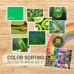 Schede stampabili per l'ordinamento dei colori Il mondo in cui viviamo, I GRANDI colori della natura, Attività di ordinamento dei colori per bambini in età prescolare Homeschool