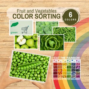 Fruit & Vegetables Color Sorting Matching Game, 6-Color Recognition Printable, Toddler Learning Activity, Preschool Educational Download