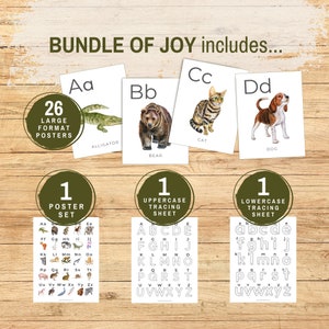 Peut inclure: Un ensemble de 26 affiches de l'alphabet illustrant des animaux, avec une feuille de tra&ccedil;age en majuscules et en minuscules assortie. Les affiches sont en grand format et pr&eacute;sentent des illustrations d'un alligator, d'un ours, d'un chat et d'un chien. Les feuilles de tra&ccedil;age sont en noir et blanc et ont un design simple.