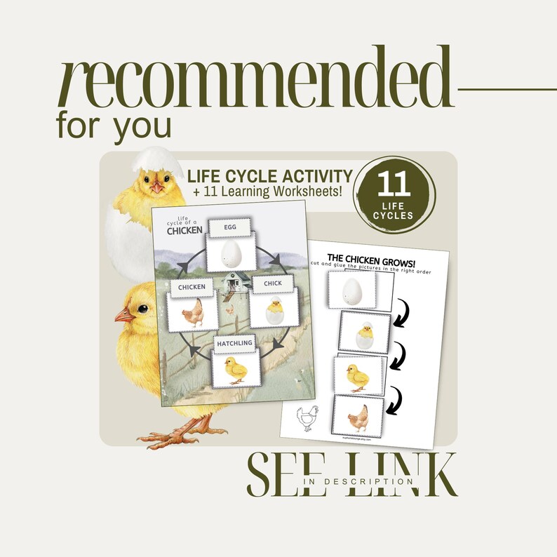 Object Function Picture Sorting Flashcards, Printable PreK Homeschool Montessori Speech Therapy Game, Categorizing Objects Based On Function image 17