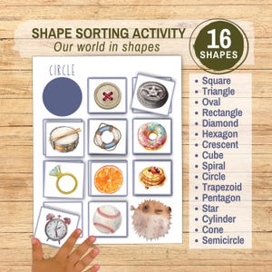 May include: A shape sorting activity sheet titled SHAPE SORTING ACTIVITY Our world in shapes with 16 shapes listed. The grid displays illustrations of a circle, button, tire, drum, lifebuoy, donut, ring, orange slice, pancakes, alarm clock, baseball, and pufferfish.
