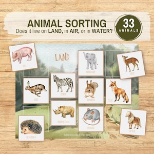 Jeu de tri d'animaux pour activités aériennes, terrestres et aquatiques