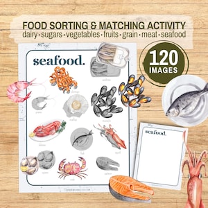 Identificar la actividad de clasificación de alimentos y emparejar sombras. Tarjetas imprimibles para clasificar grupos de alimentos. Guardería. Preescolar. Montessori. Educativo. Descargar.
