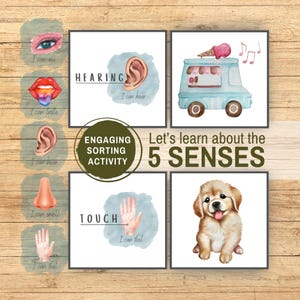 五感の分類アクティビティ（印刷可能）、聴覚・触覚・視覚・嗅覚・味覚、科学ゲーム、モンテッソーリホームスクール幼児向け五感フラッシュカード