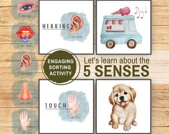 Actividad imprimible de clasificación de los cinco sentidos: oído, tacto, vista, olfato y gusto. Juego de ciencias. Tarjetas didácticas de los cinco sentidos para niños pequeños que aprenden en casa con el método Montessori.