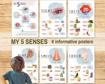 Five Senses Posters Educational Printable Wall Art, Hear/Touch/Sight/Smell/Taste, Montessori Toddler Preschool Teacher Learning Resources