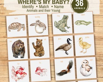Mommy & Baby Animal Matching Activity, Parent Animal and Offspring Names Vocabulary Sorting Game, Printable Homeschool Montessori Flashcards