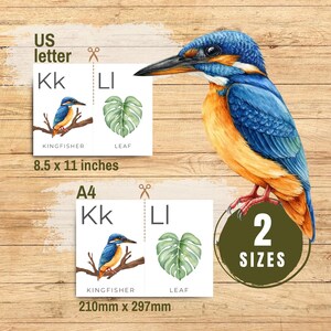 Puede incluir: Ilustraci&oacute;n en acuarela de un mart&iacute;n pescador vibrante. Incluye dos tarjetas con las letras Kk y Ll, y las palabras "KINGFISHER" y "LEAF". La imagen muestra dos tama&ntilde;os: 21,6 x 27,9 cm y A4 (210 mm x 297 mm).