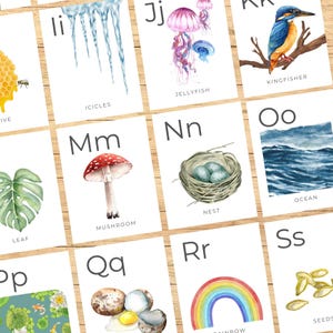 Puede incluir: Una colecci&oacute;n de tarjetas did&aacute;cticas del alfabeto en acuarela. Cada tarjeta presenta una letra y una imagen correspondiente, como una seta, un nido y un arco&iacute;ris. Las tarjetas est&aacute;n dispuestas sobre una superficie de madera clara.