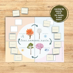 Seasons Cycle & Months of the Year Printable Activities, Homeschool ...