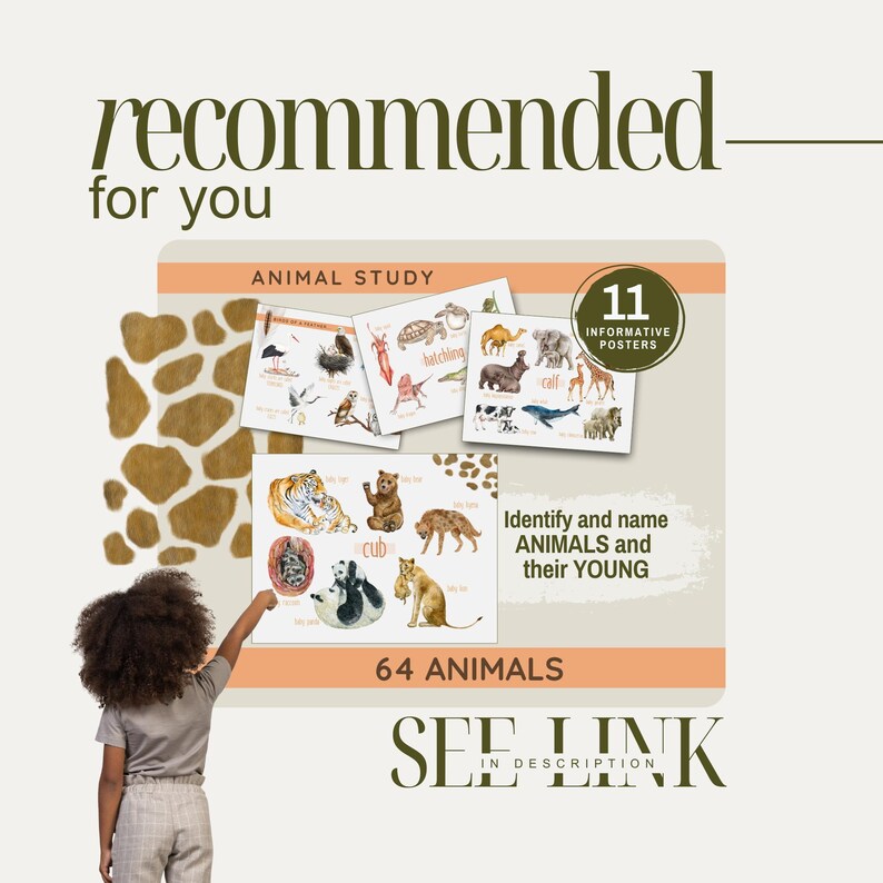 Animal Classification Posters, Printable Kids Educational Classroom ...