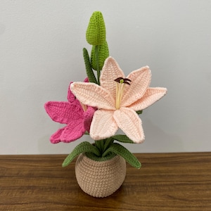 Forever pink & white lily pot. Finished crochet lily and mixed flower bouquet. Beautifully wrapped gift. Unique handmade gift for women.