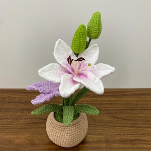 crochet lily in pot, crochet flower in pot, housewarming gift, desk decoration, room decoration, handmade flower, gift for her, Easter lily