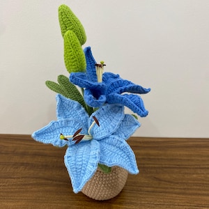 crochet tiger lily in pot, crochet stargazers lily in pot, housewarming gift, desk decoration, room decoration, handmade lily, gift for her