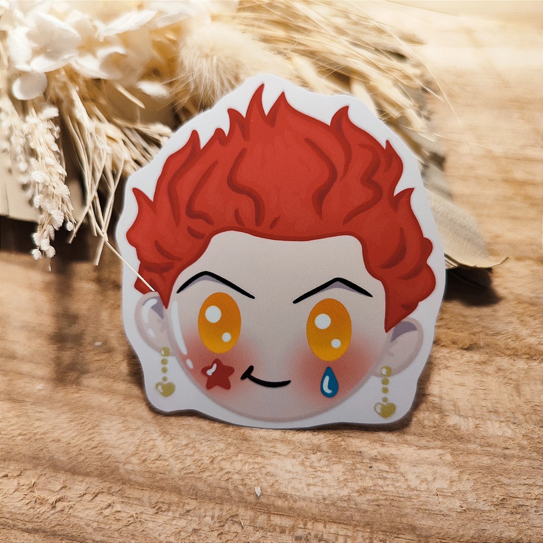 Hisoka Decal hunter X Hunter Etsy